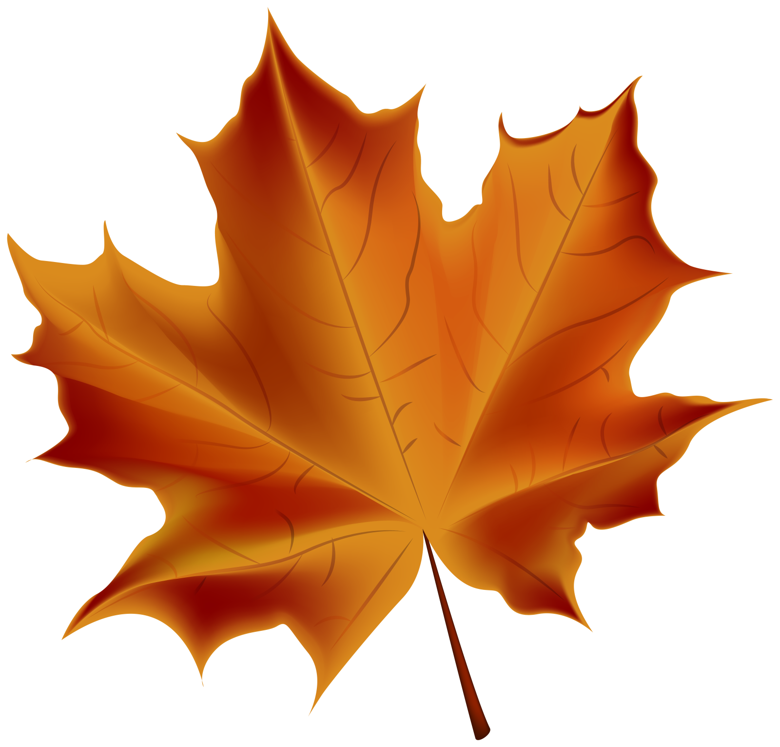 an orange maple leaf on a white background