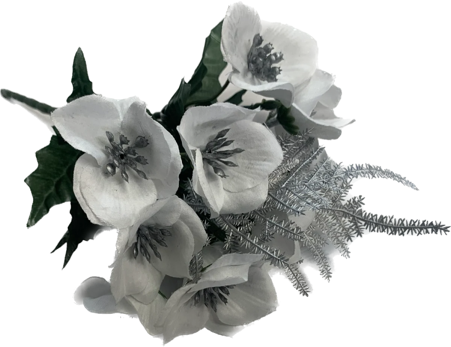 a bouquet of white flowers on a white background