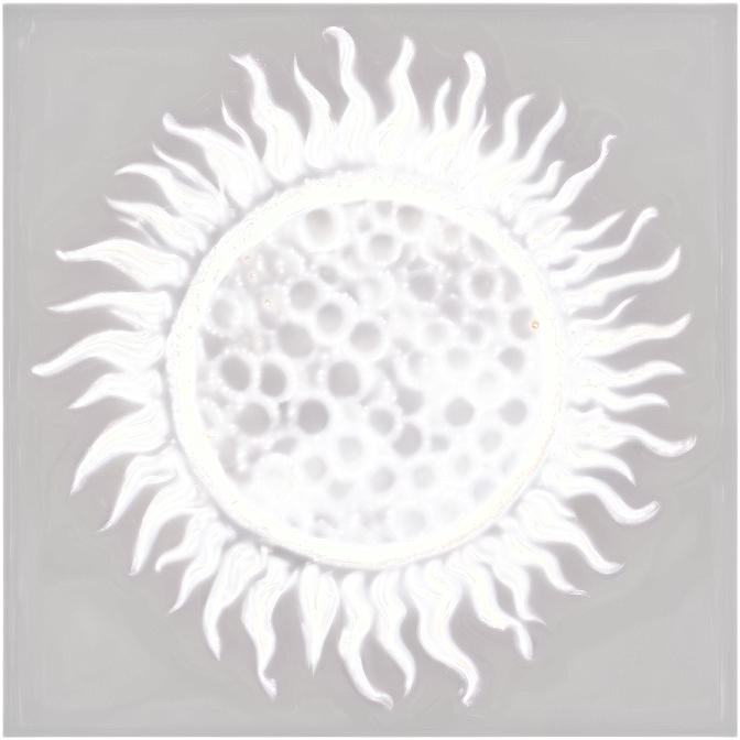 an image of a sunflower
