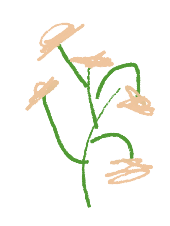 a drawing of a plant with green leaves