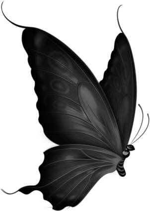 a black butterfly on a white background