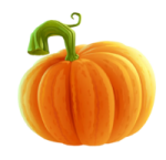a small orange pumpkin on a white background