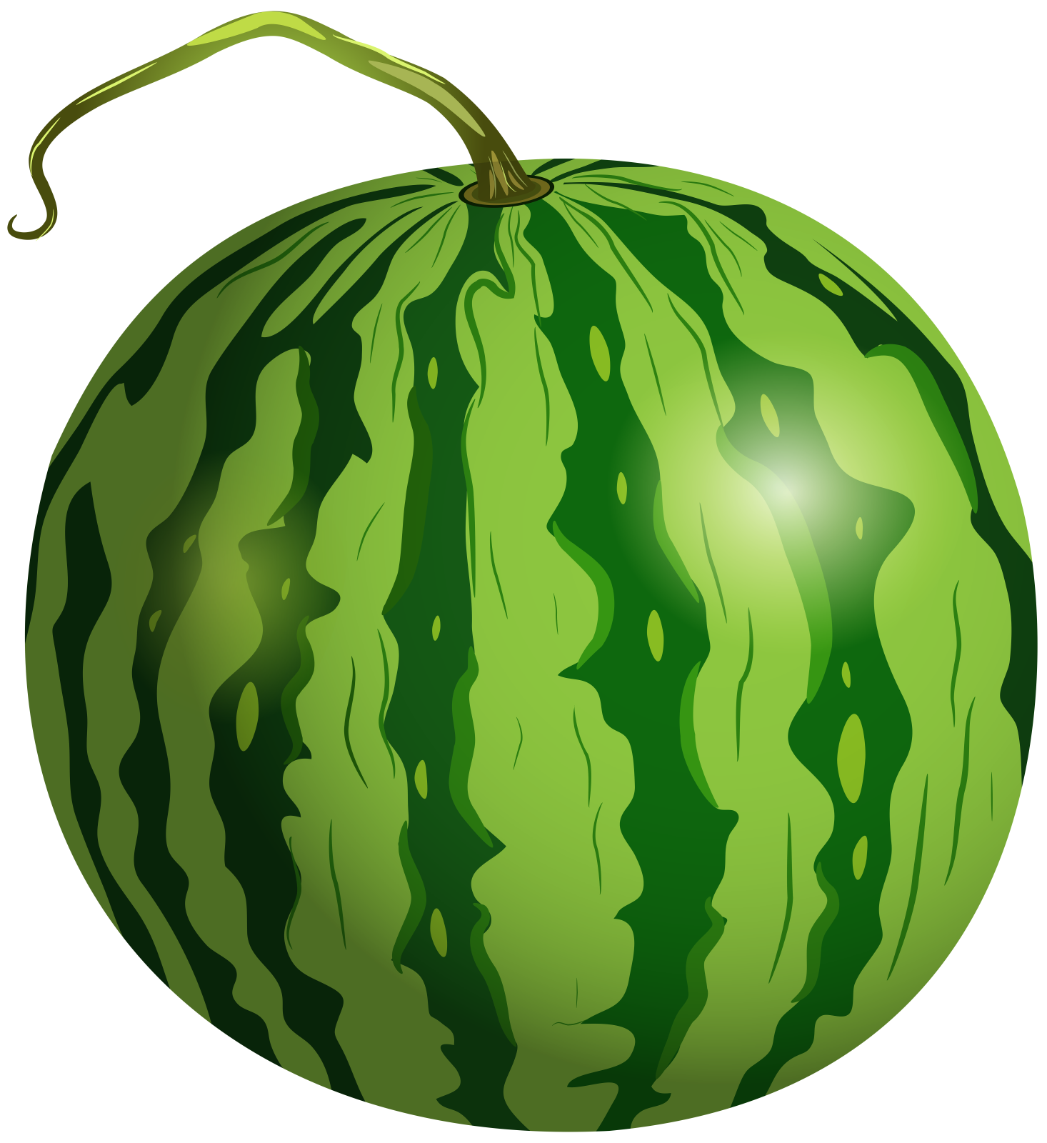 a watermelon on a white background