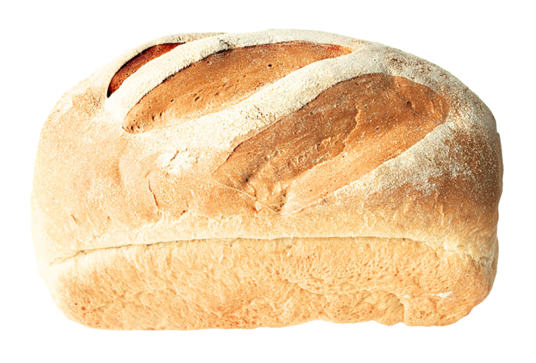a loaf of bread on a white background