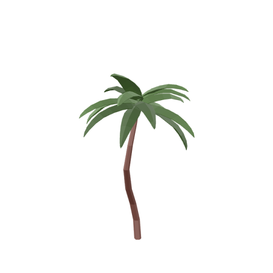 a palm tree on a white background