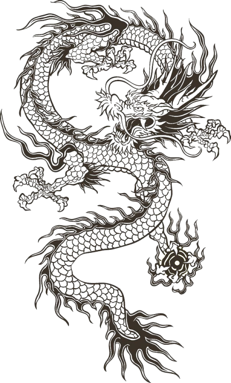 a dragon tattoo design