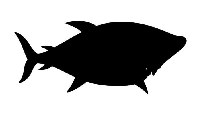 a black and white silhouette of a fish