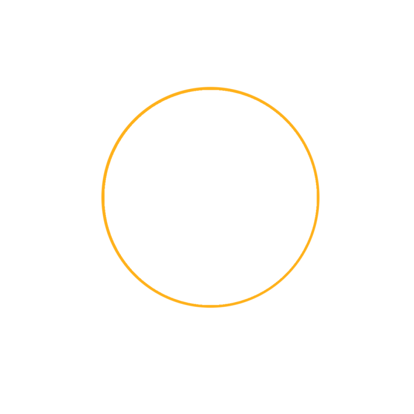 an orange circle with a white background
