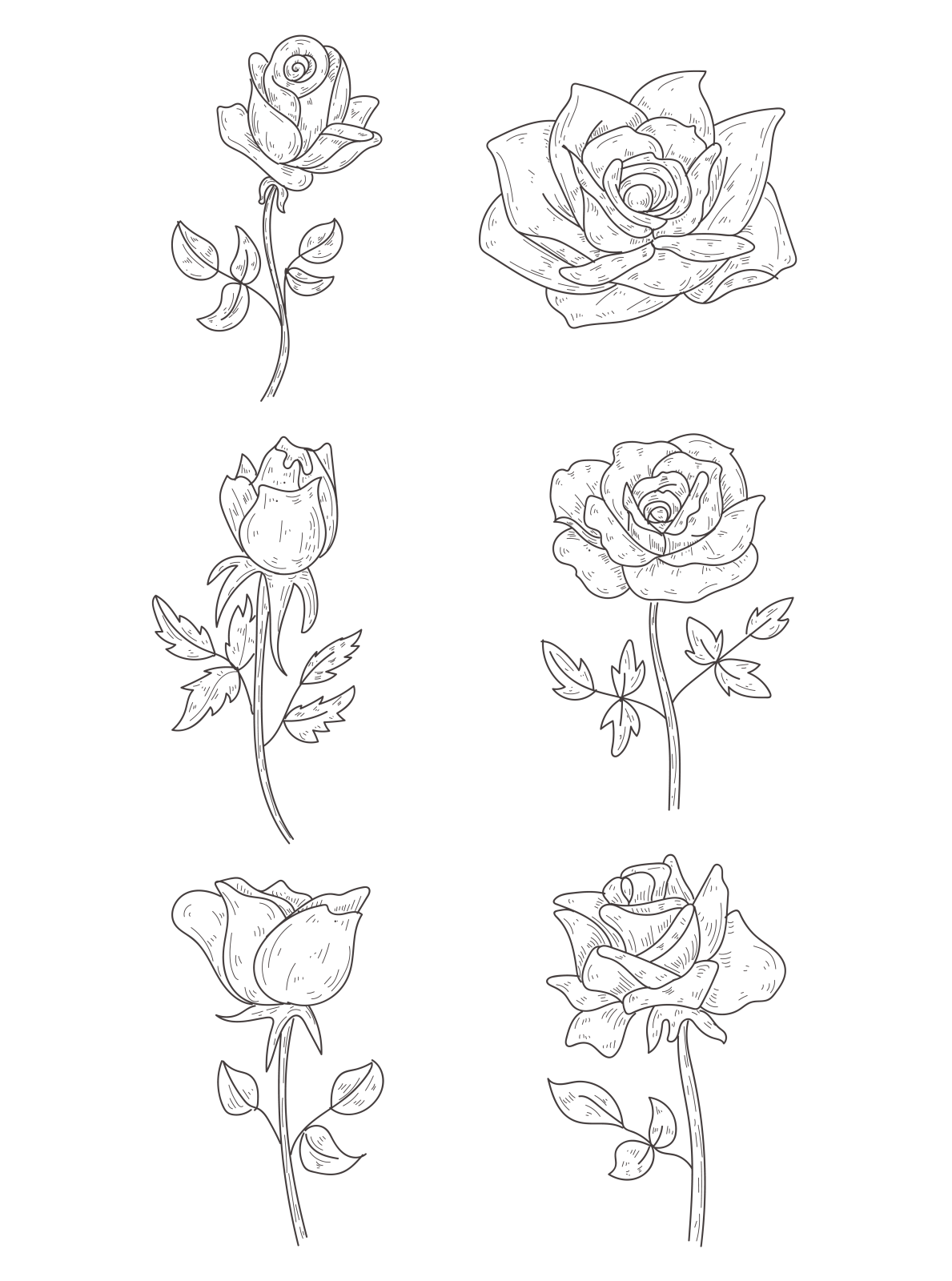 how to draw roses step by step