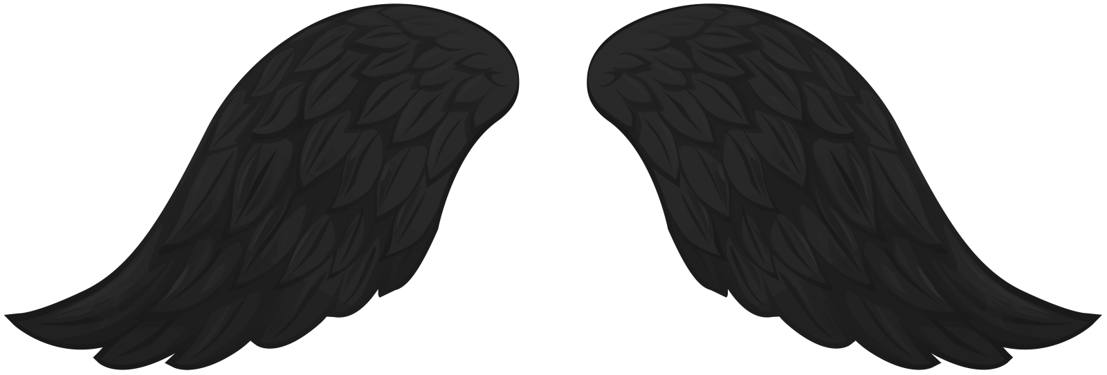two black wings on a white background