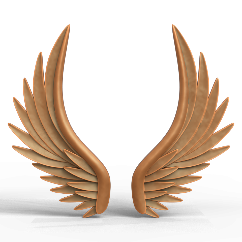 a pair of wings on a white background