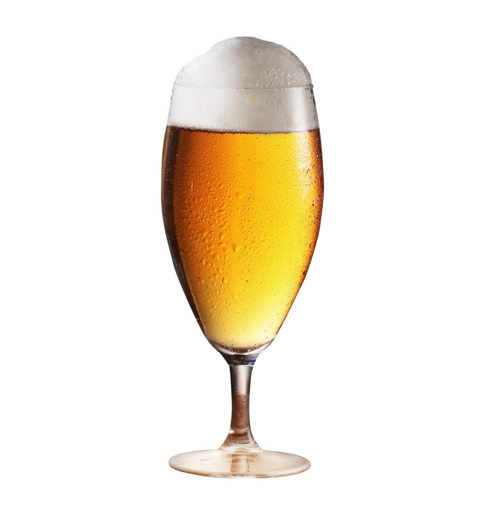 a glass of beer on a white background