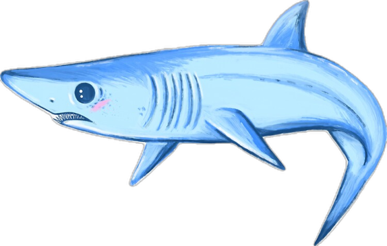 a drawing of a shark