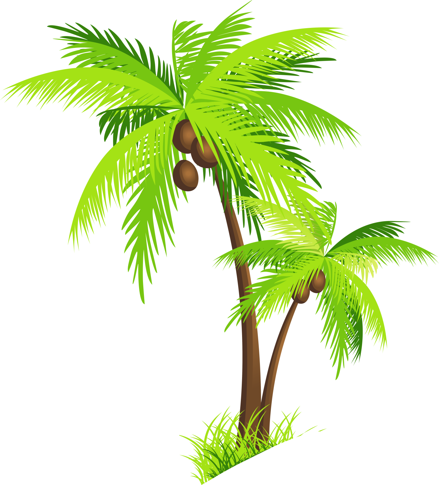 two palm trees on a white background