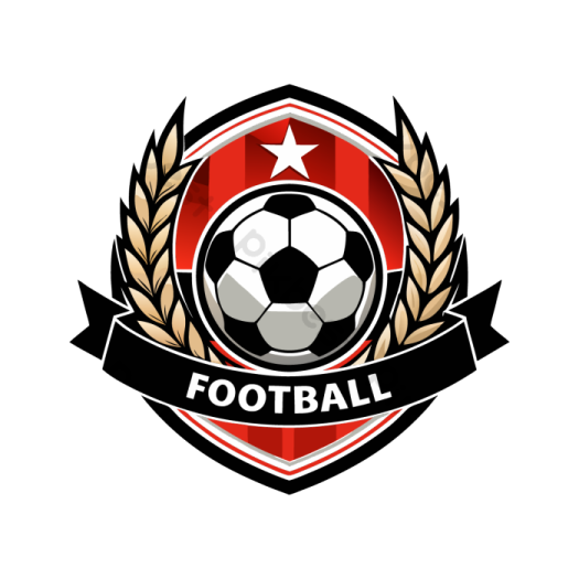 the logo for the football team