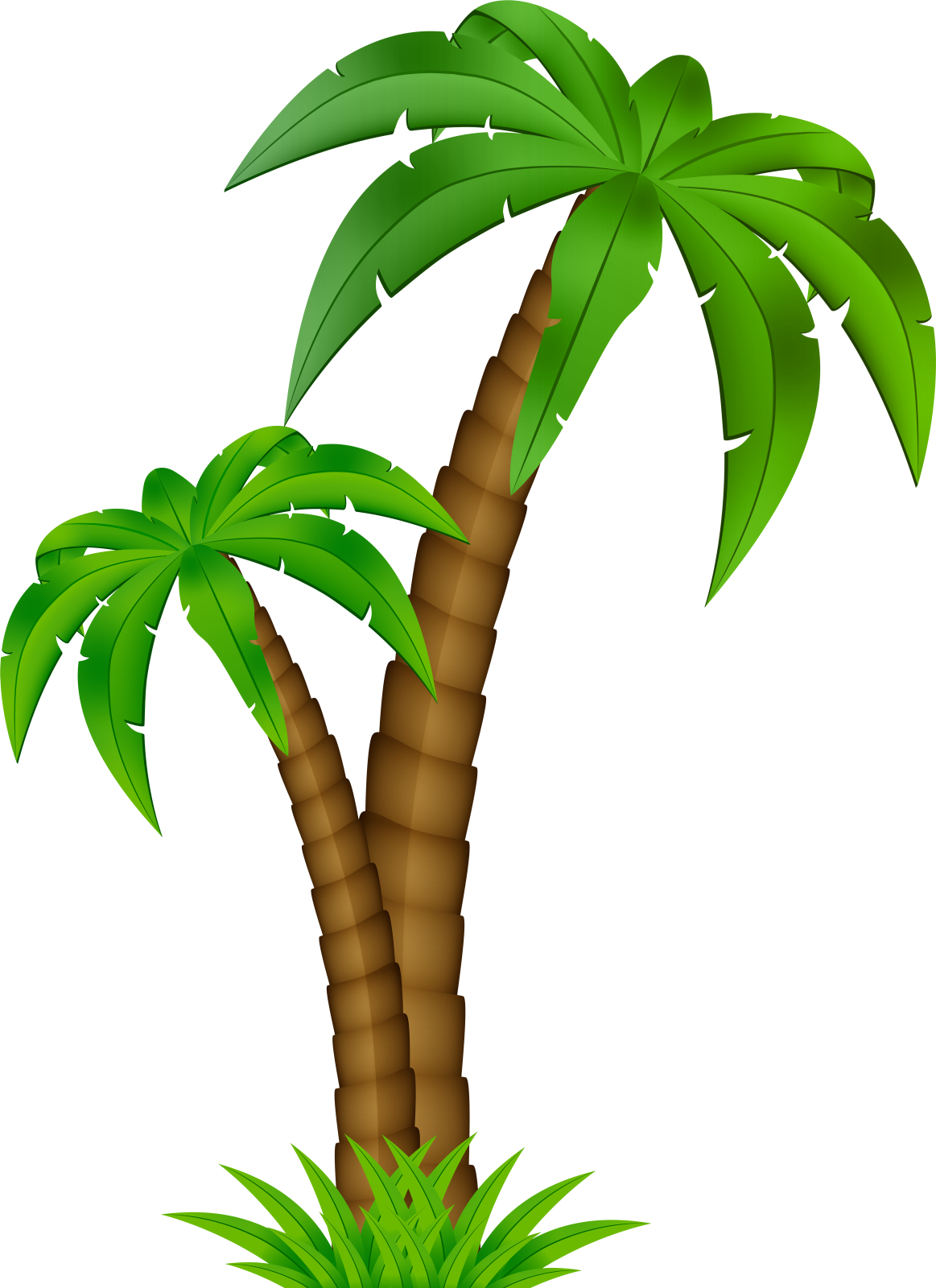 a palm tree clipart