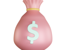 a pink bag with a dollar sign on it
