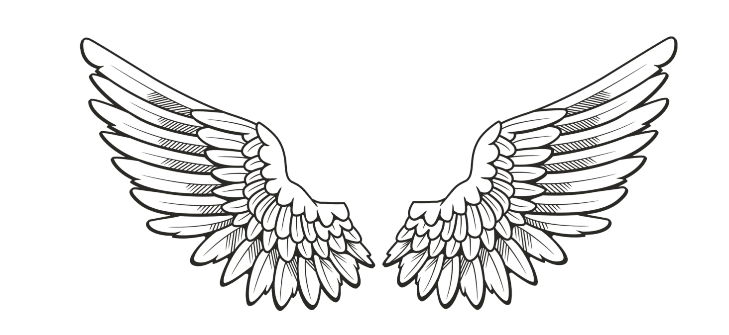 a pair of wings