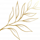 a gold leaf on a white background