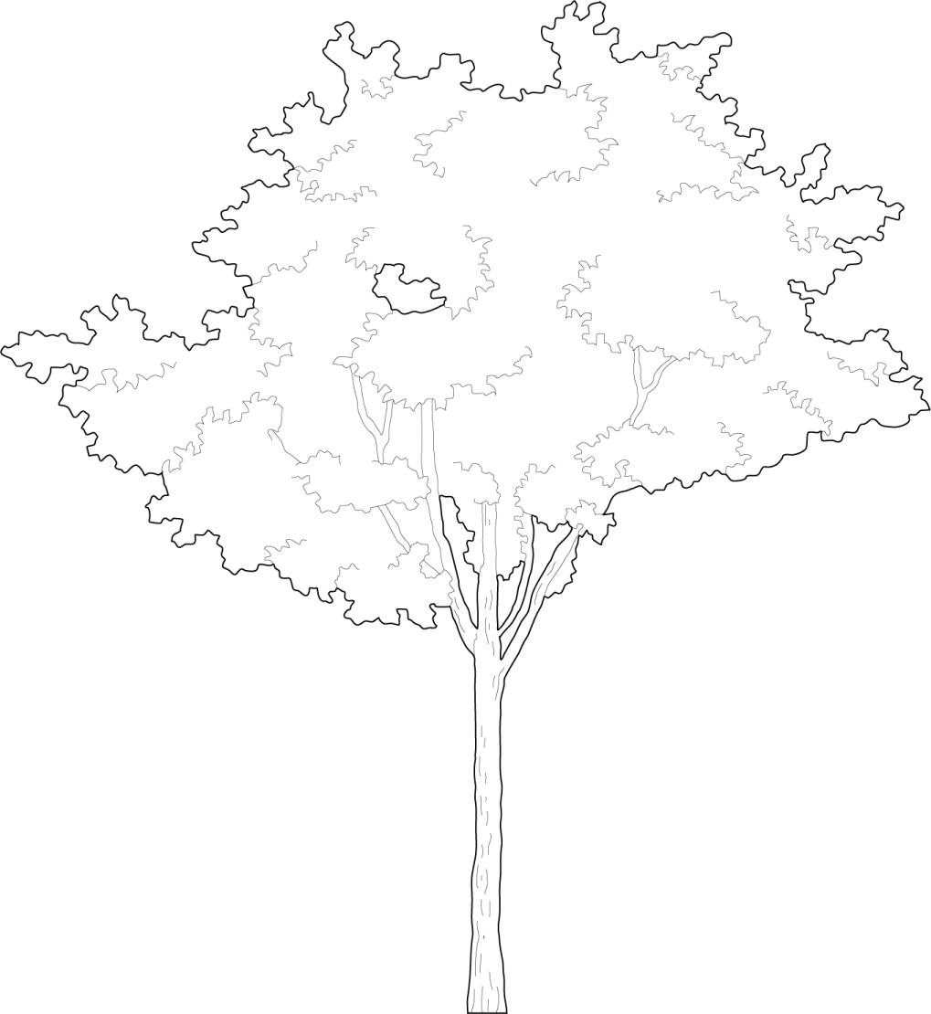 free printable tree coloring pages