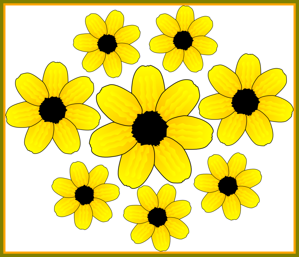 a bunch of yellow flowers
