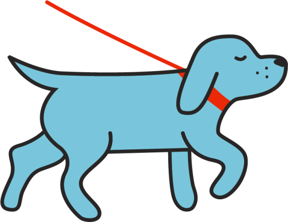 a blue dog with a red collar