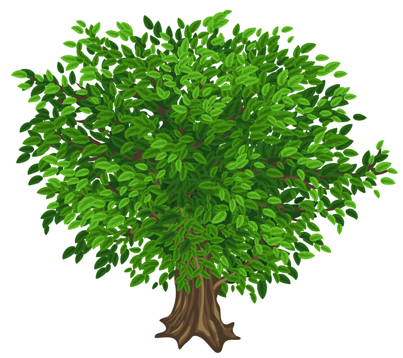 a green tree on a white background
