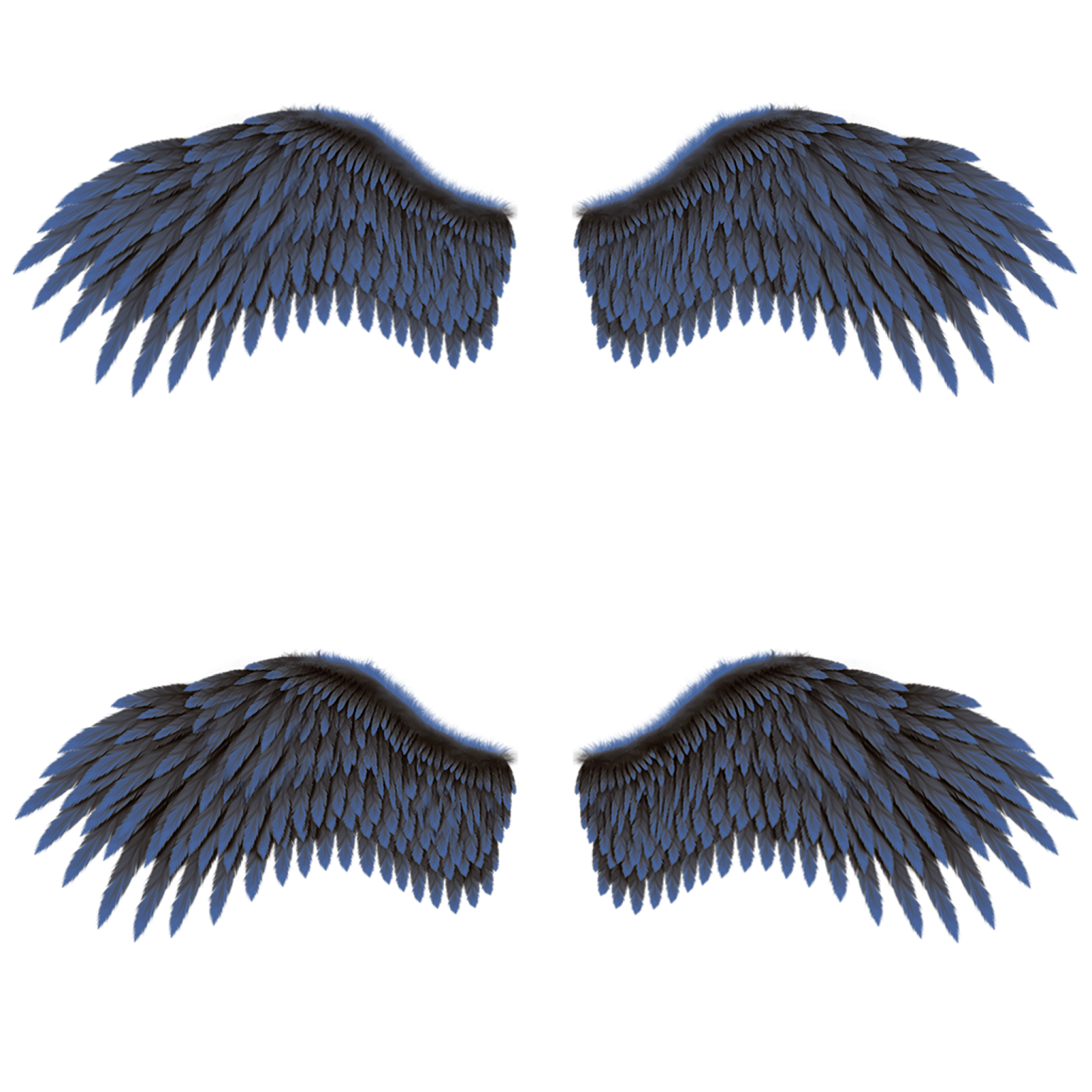 a set of three wings on a white background