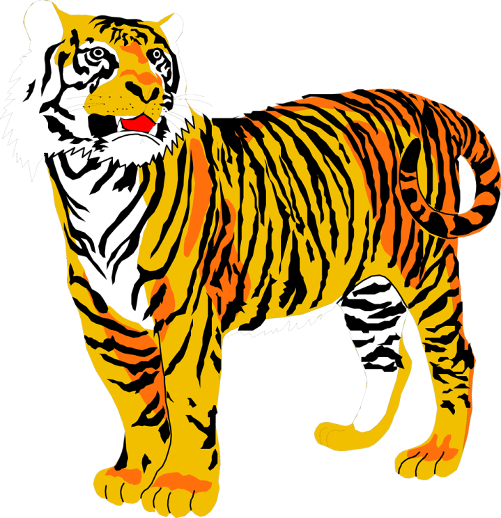 a drawing of a tiger on a white background