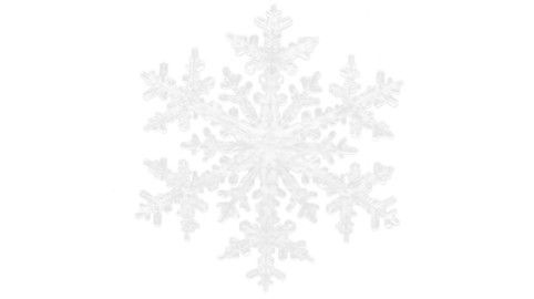 a white snowflake is shown in this image