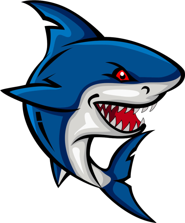an image of a shark with its mouth open