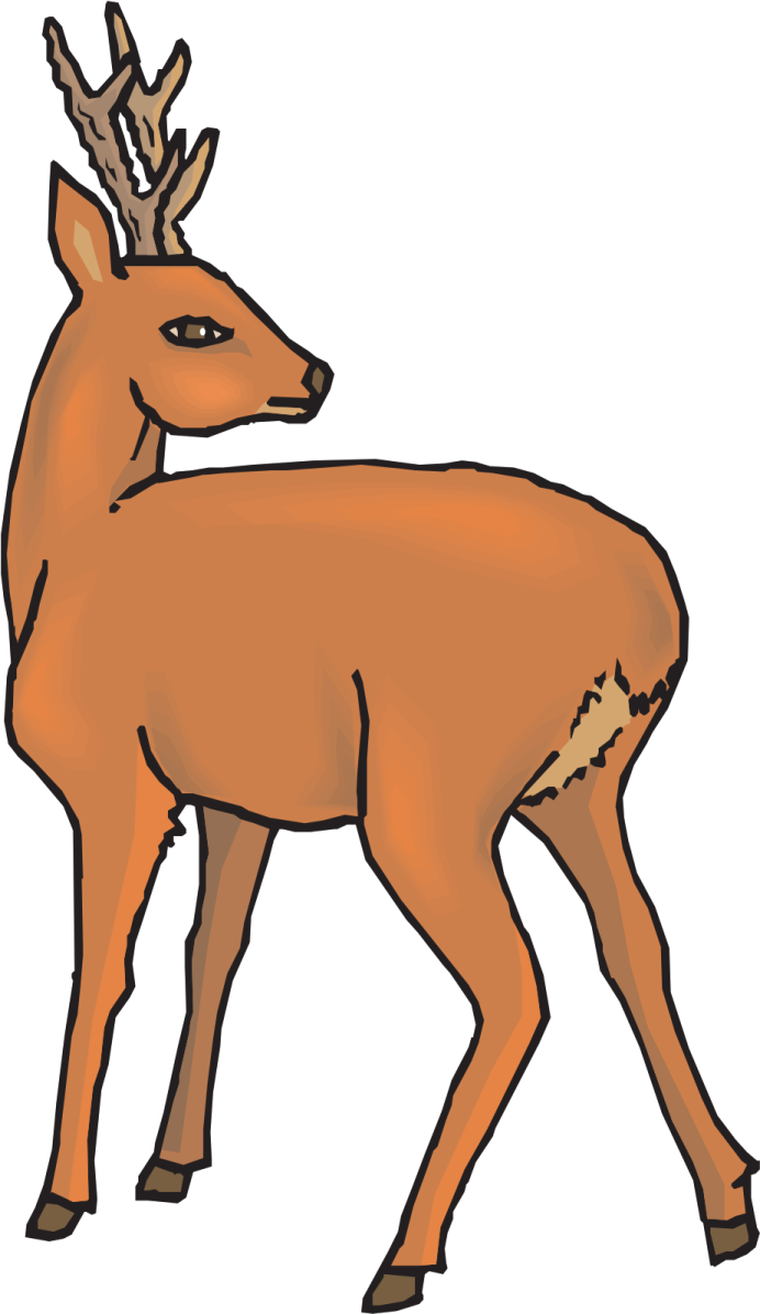 a deer with ant ants on its head