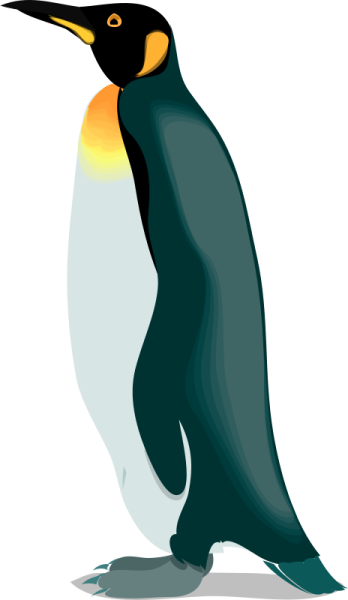 a penguin standing in front of a white background