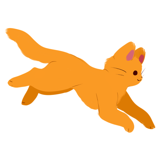 an orange cat is flying in the air