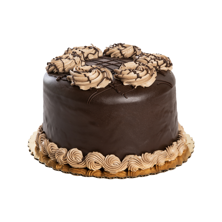 a chocolate cake on a white background