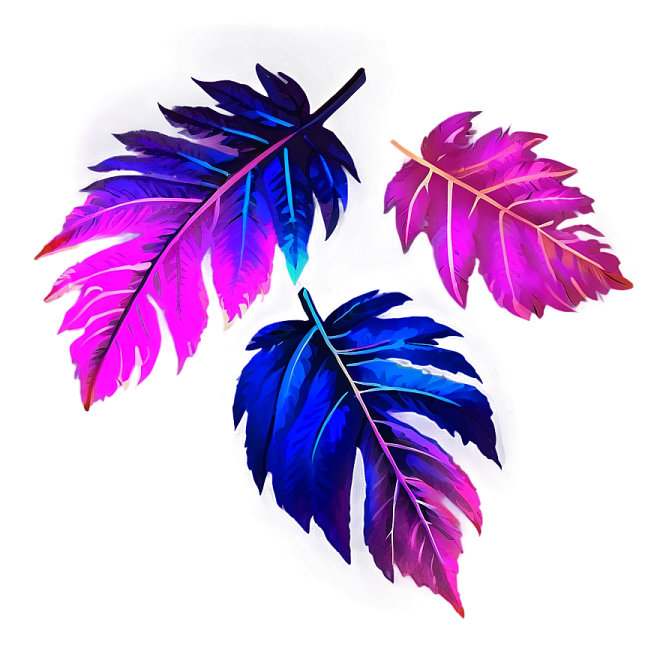 three colorful feathers on a white background