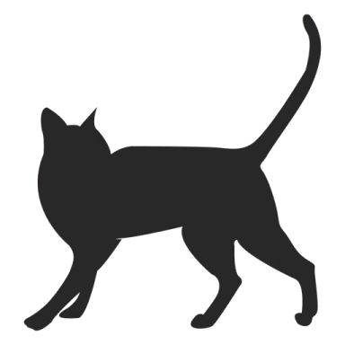 a black cat silhouetted on a white background