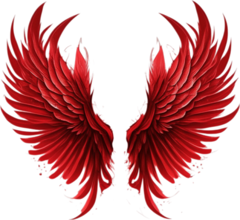 a pair of red wings
