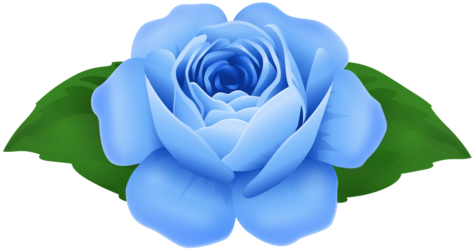 a blue rose with green leaves
