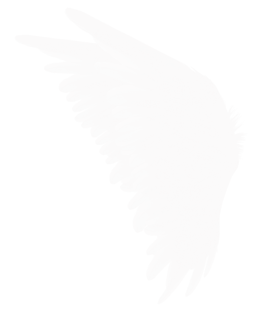 a black and white angel wing