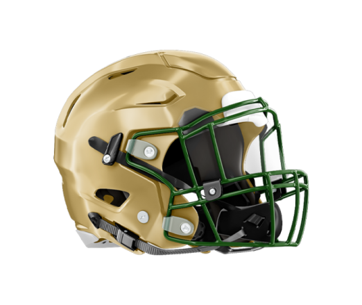 a football helmet on a white background