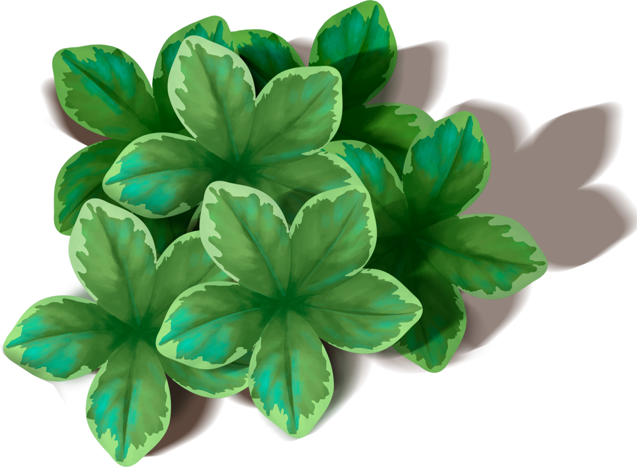 three green leaves on a white background