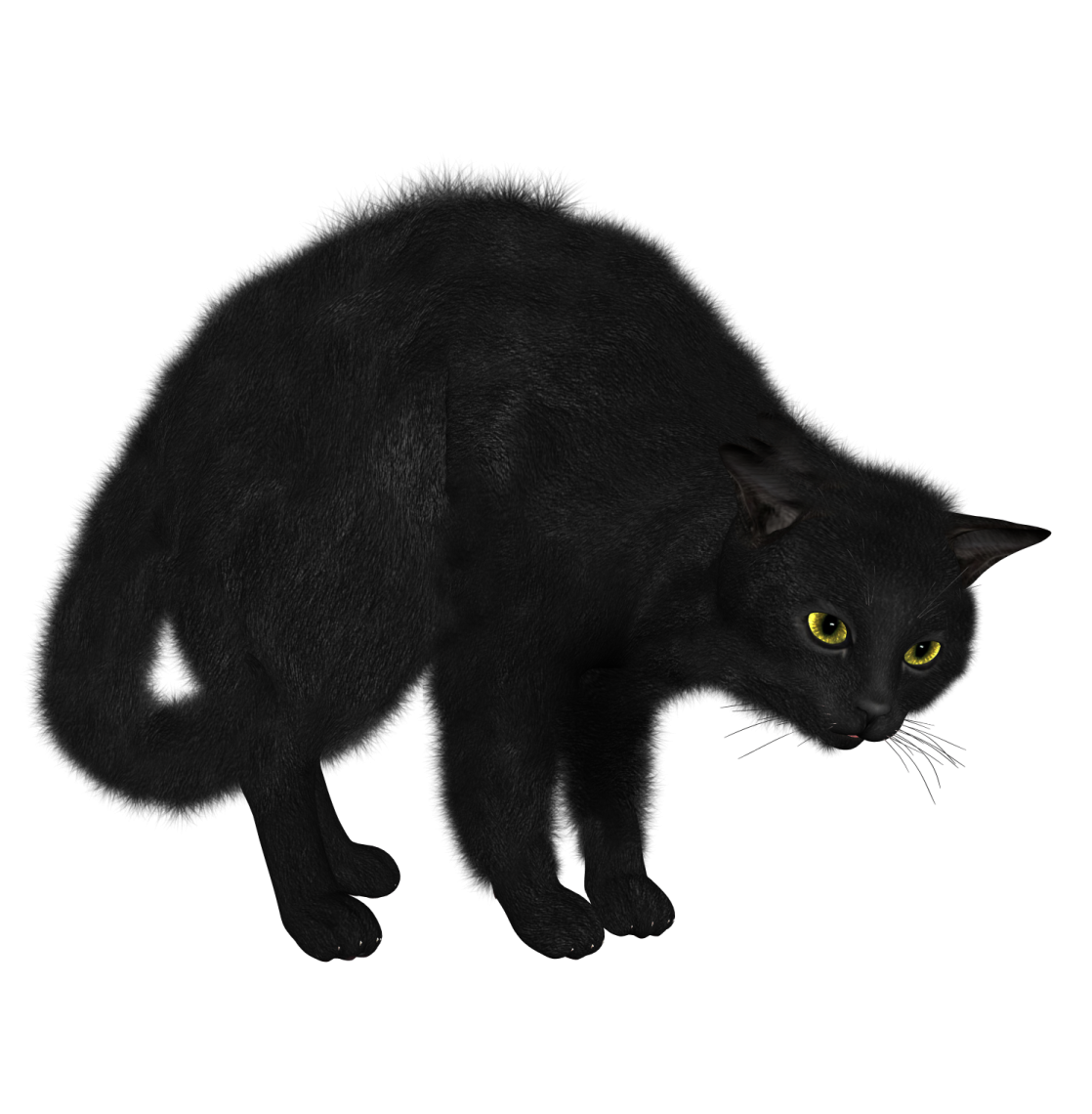 a black cat with yellow eyes is walking