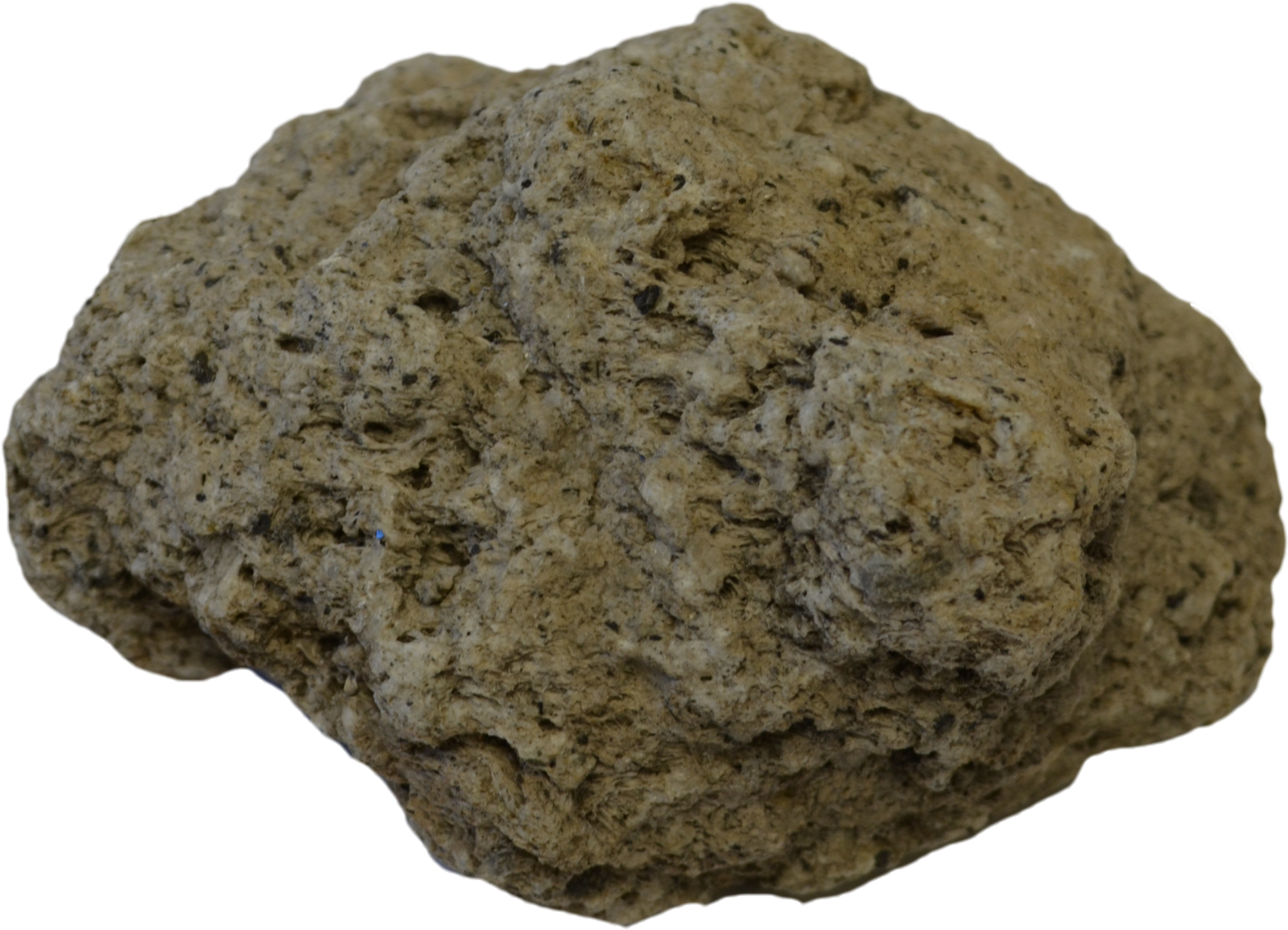 a rock on a white background