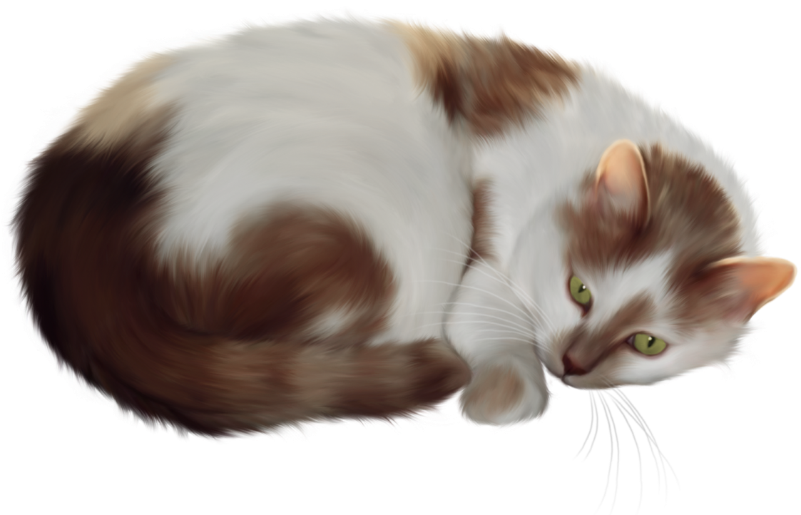 a brown and white cat with green eyes