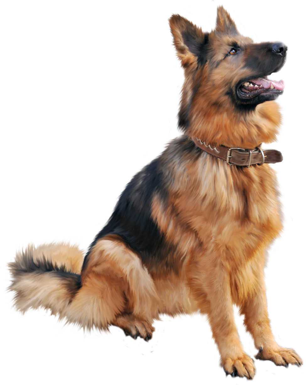 a painting of a german shepherd dog