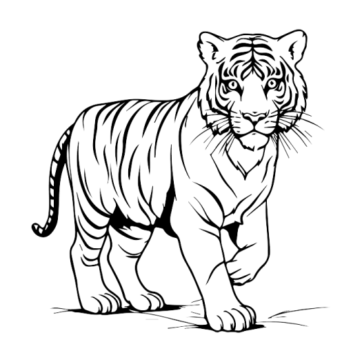 a black and white drawing of a tiger