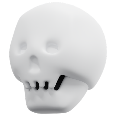a white skull with a black nose