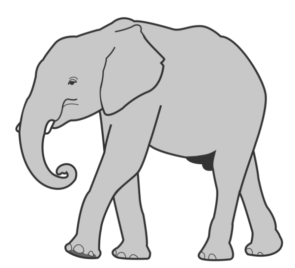 an elephant standing on a white background
