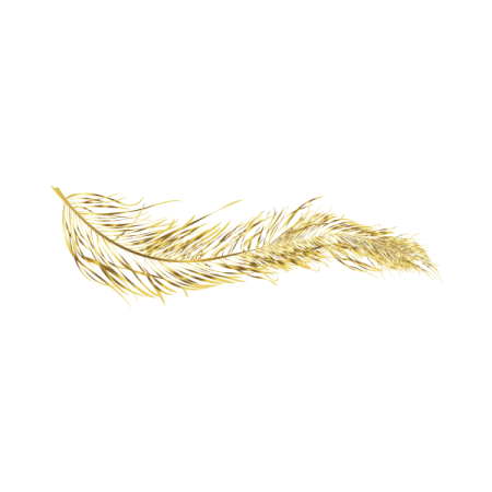 a gold feather on a white background